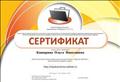 Сертификат о создании личного сайта Netfolio